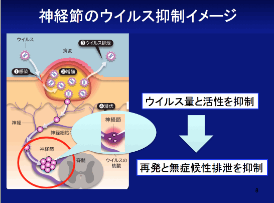 お 尻 ヘルペス