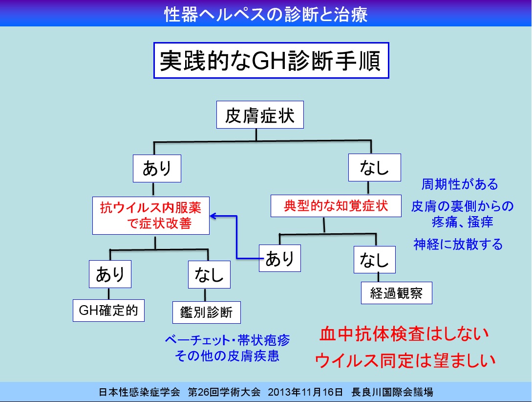 性器ヘルペスの実践的な診断手順 Dr Sawamura S性病事典 新宿さくらクリニック